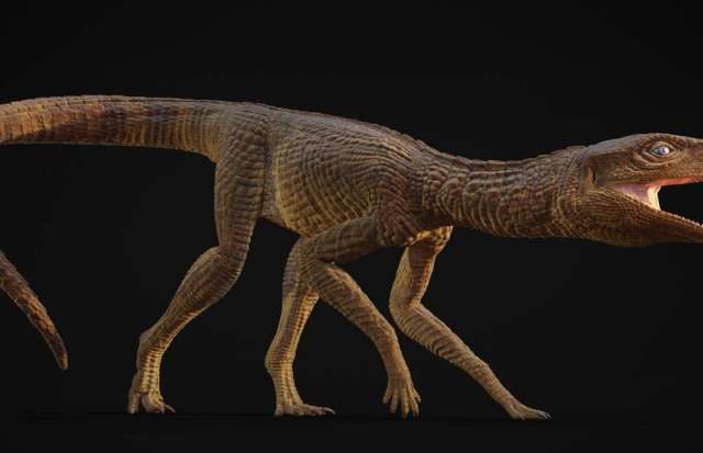 Палеонтолог назвал новый вид доисторических крокодилов в честь своего школьного учителя