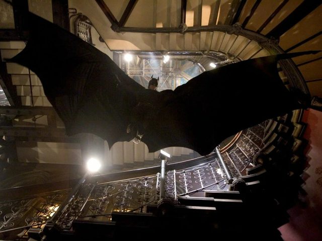 Исследование: чем люди похожи на летучих мышей, дельфинов и некоторых птиц