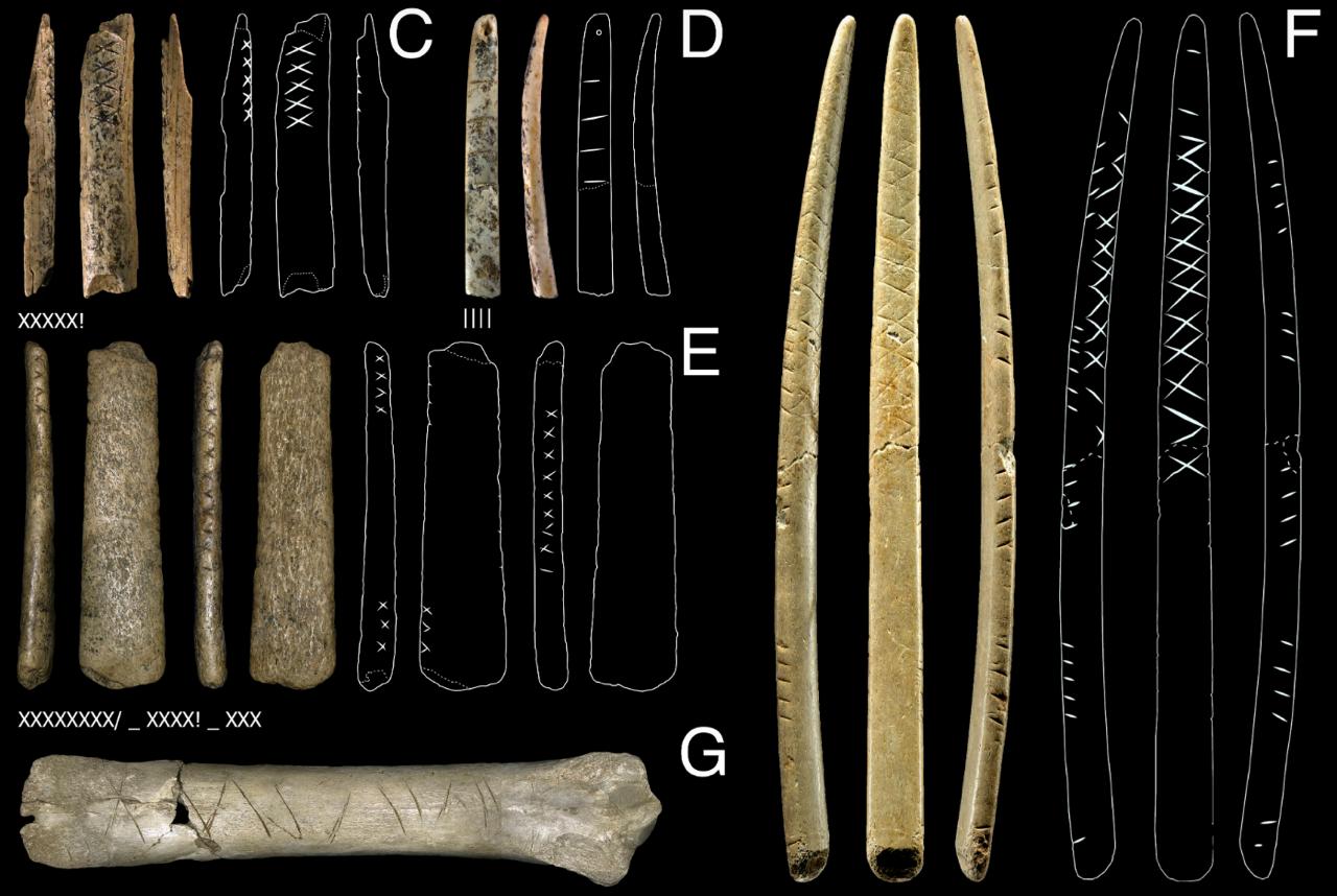 кости, окаменелости, каменный век