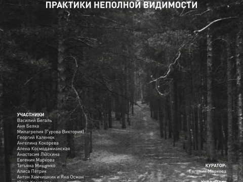 В Музее парка Горького открылась выставка о медленных фотографических практиках