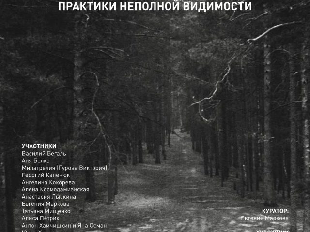 В Музее парка Горького открылась выставка о медленных фотографических практиках