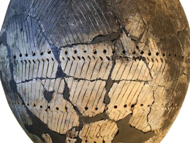 Ученые выяснили, чем питались охотники-собиратели, жившие в Европе более 5 тыс. лет назад