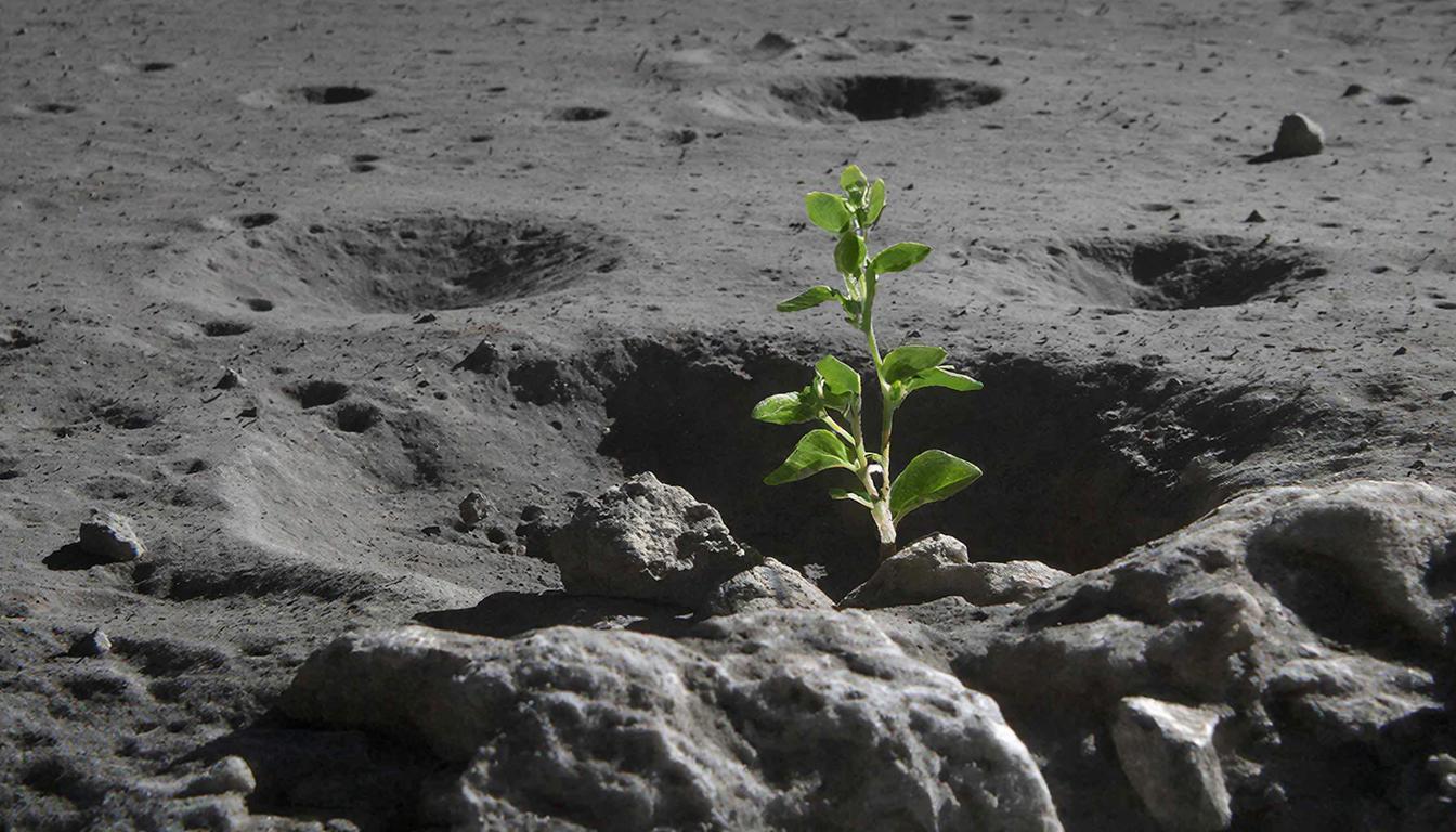 еда в космосе, космическое сельское хозяйство, колонизация Луны