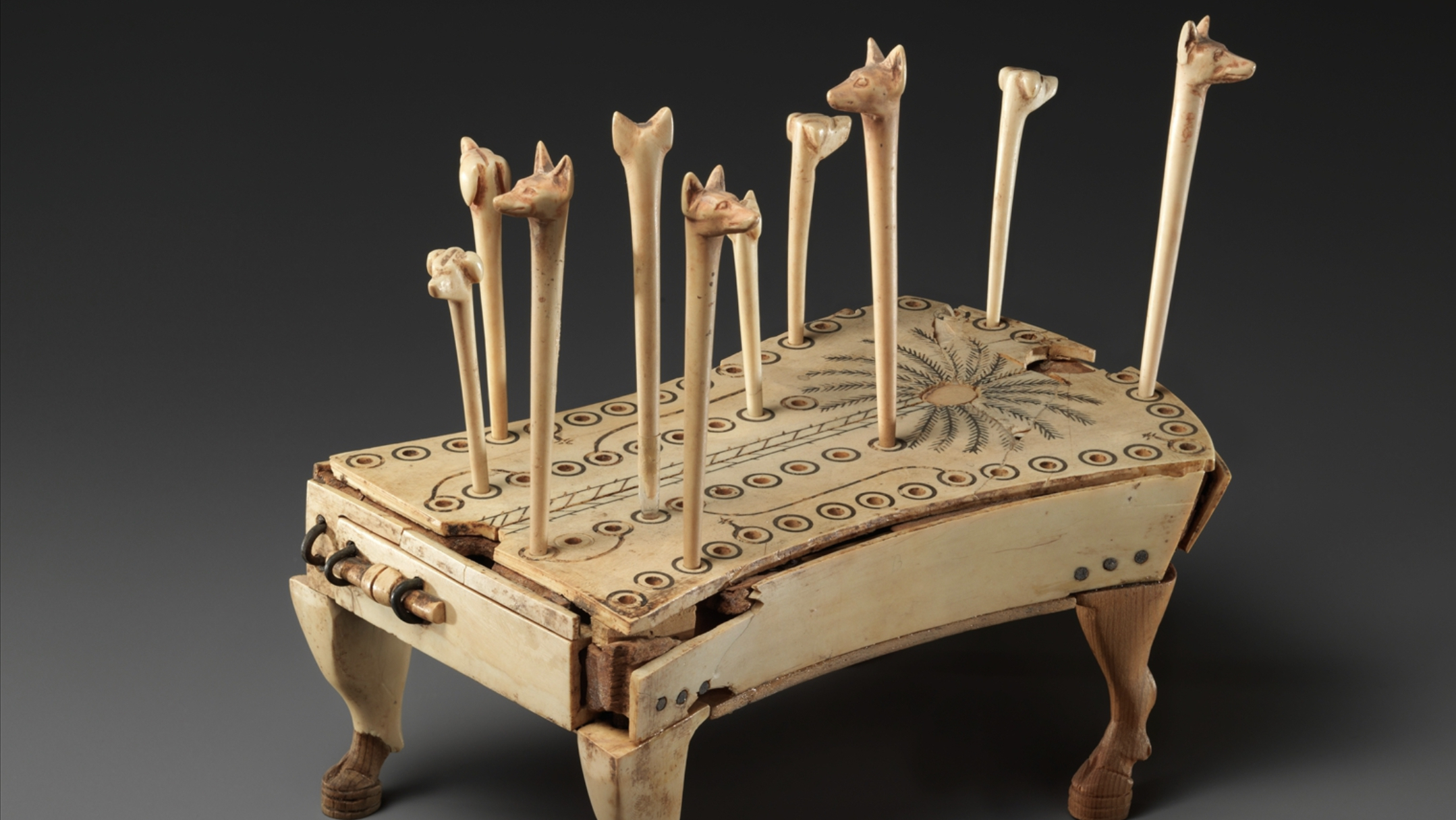 псы и шакалы