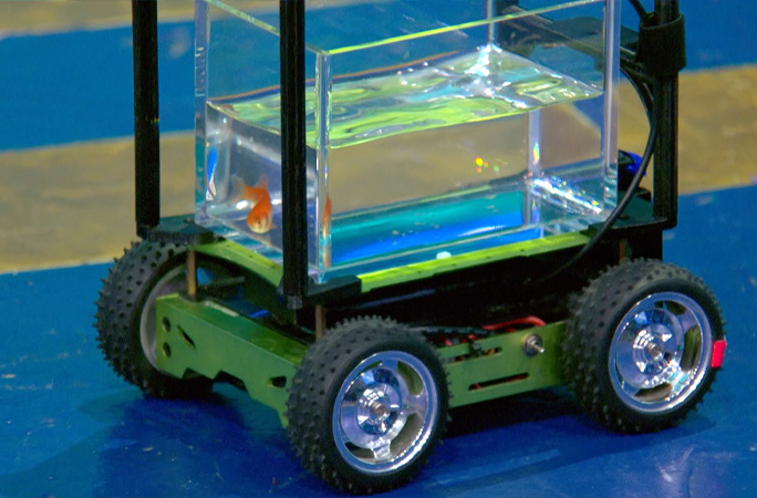 необычные изобретения, эксперименты над животными