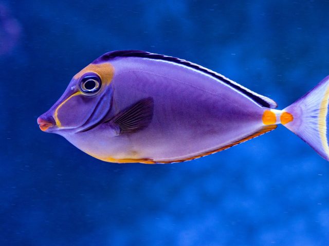 Исследование: как продолжительность жизни может быть связана с повседневными привычками