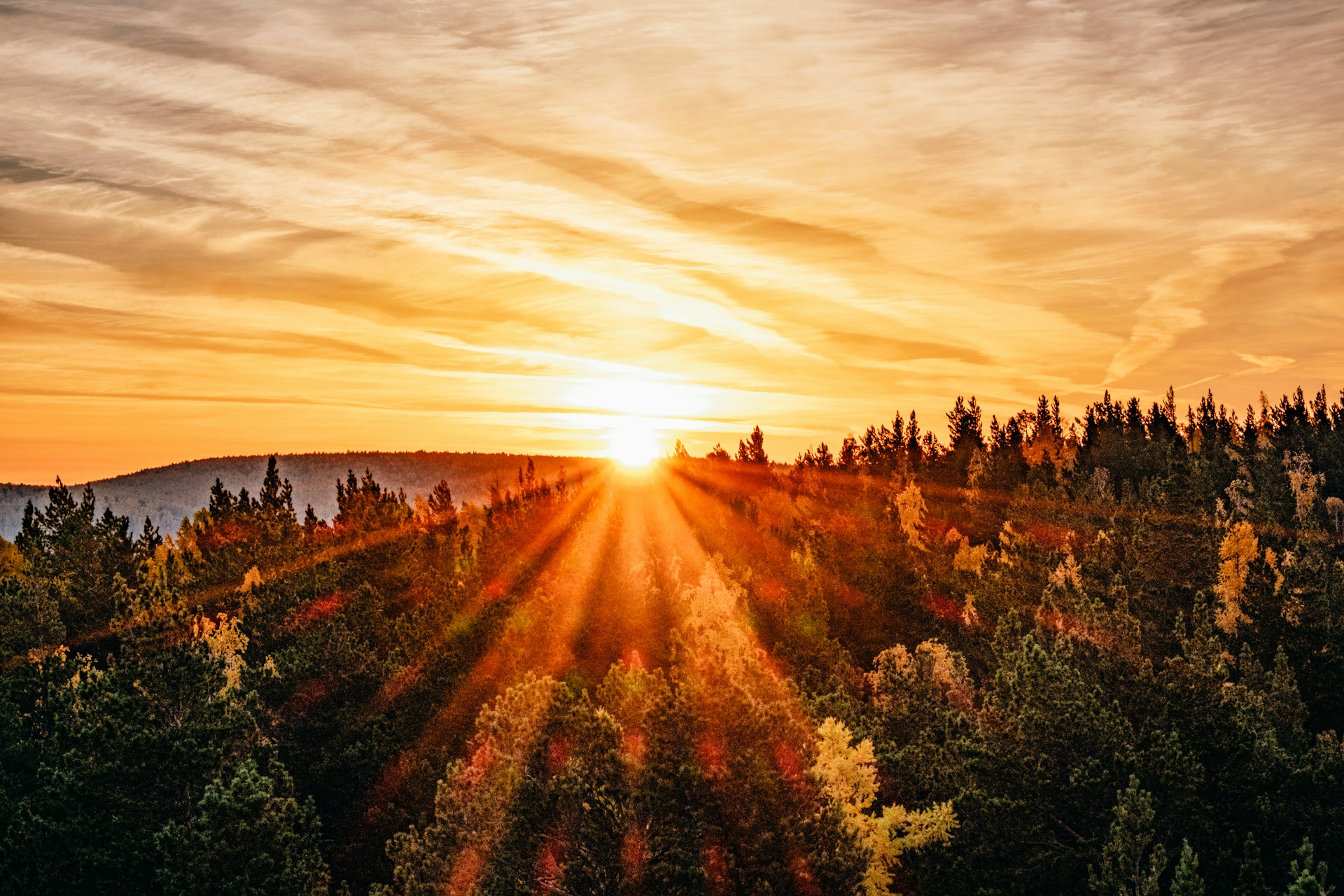 сибирь, исследование Сибири, российские ученые