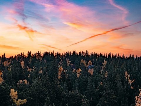 Российские ученые создали сайт, посвященный первому исследователю Сибири