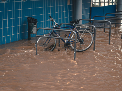 Российские ученые разработали ИИ-сервис для помощи жителям регионов РФ во время паводков