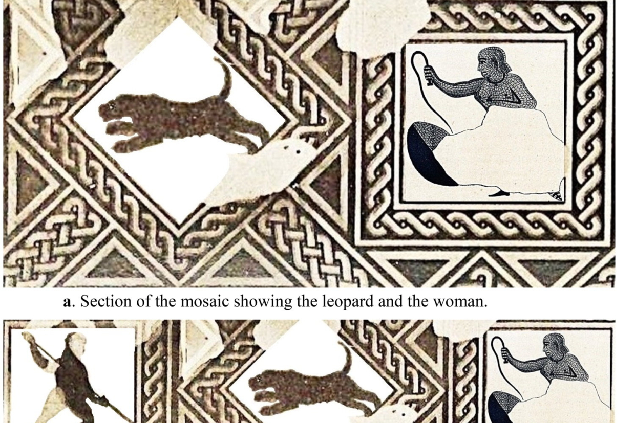 Исследование: женщины-гладиаторы сражались с дикими зверями в Древнем Риме