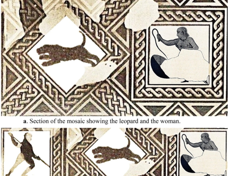 Исследование: женщины-гладиаторы сражались с дикими зверями в Древнем Риме