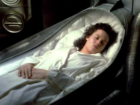 Ученые впервые смогли «оживить» замороженный мозг лабораторной мыши