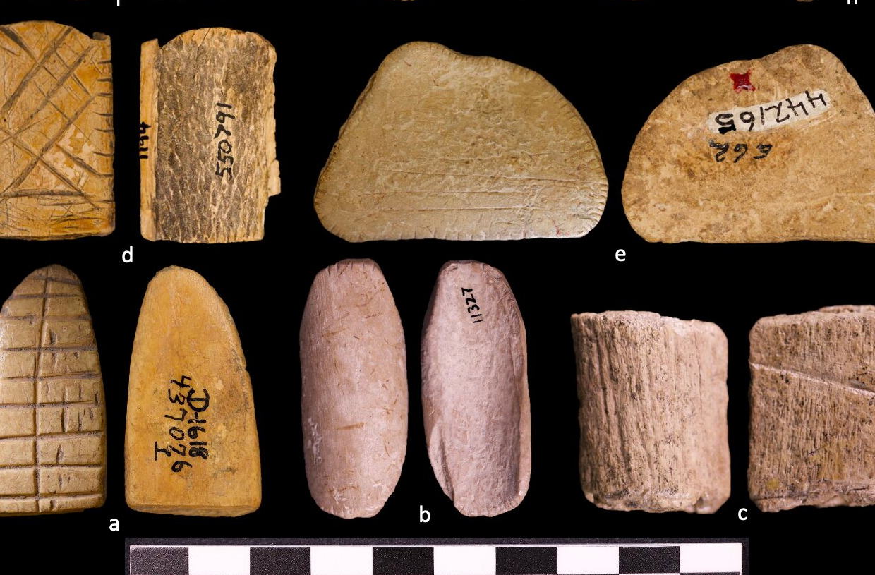 Найдены самые древние игральные кости