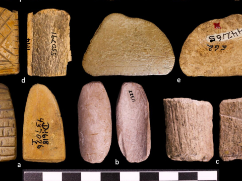 Найдены самые древние игральные кости