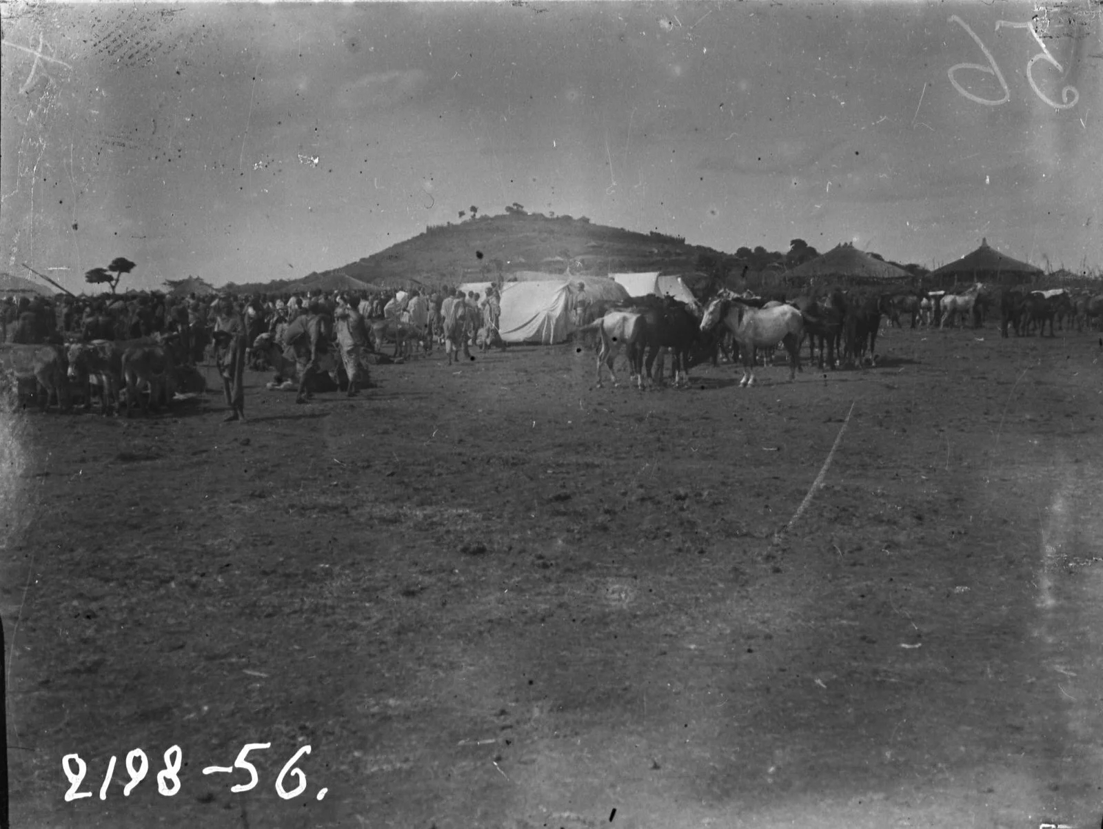 Николай Гумилев, 140 лет Николаю Гумилева, Гумилев и Африка, Гумилев как гурман