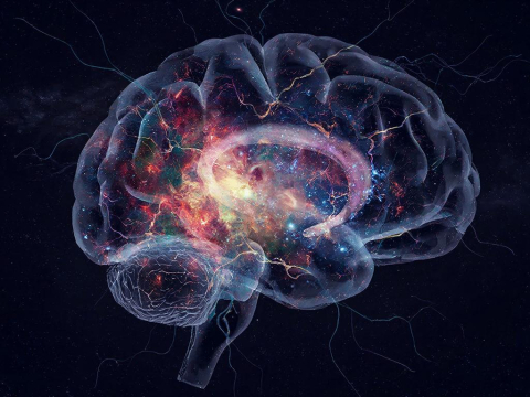 Исследование: возможно, сознание не продукт активности нашего мозга