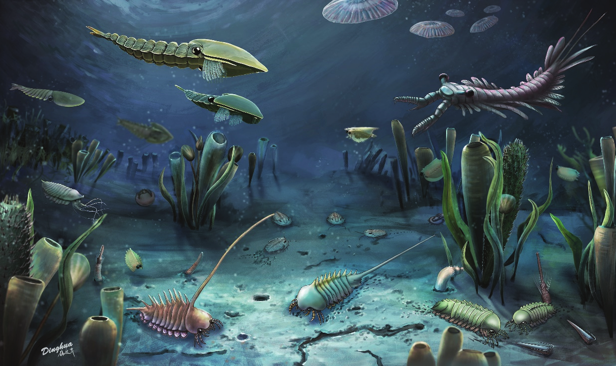 Песчаный червь из «Дюны» жил на дне докембрийского океана