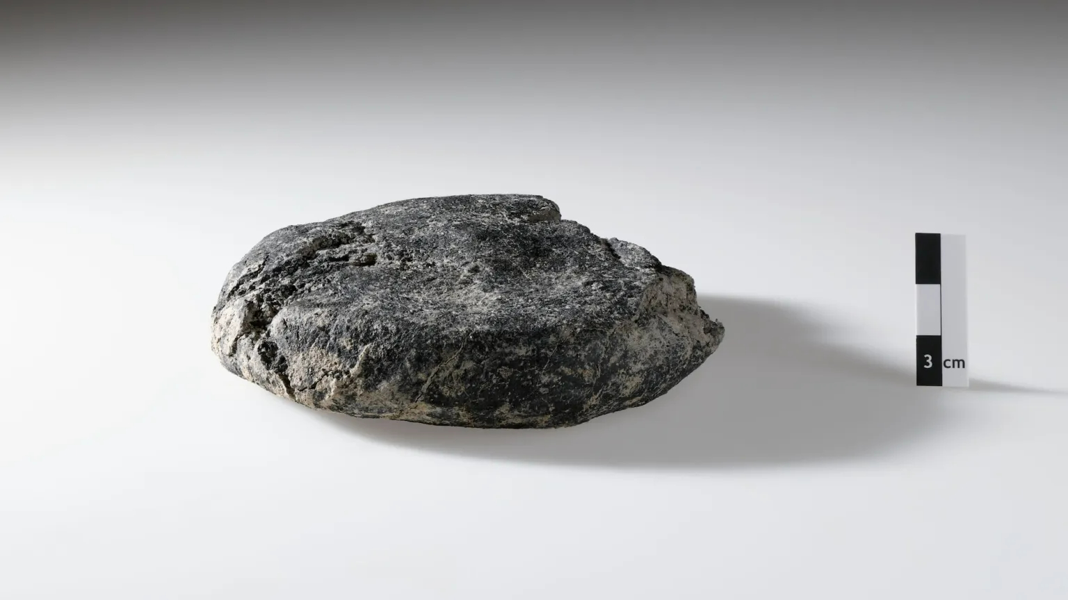 древний хлеб, древнеримская еда, новости археологии, старый хлеб