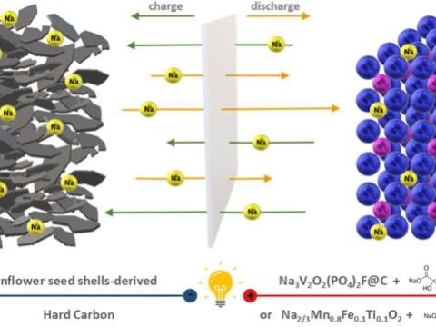 Из семечек можно делать батарейки