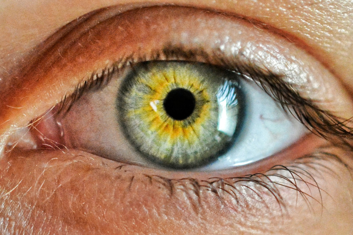 Исследование: как разные негативные эмоции влияют на размер человеческого зрачка