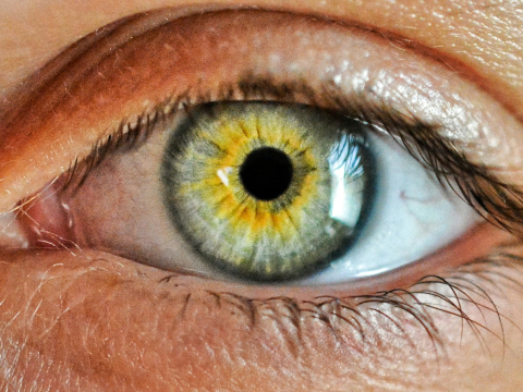 Исследование: как разные негативные эмоции влияют на размер человеческого зрачка