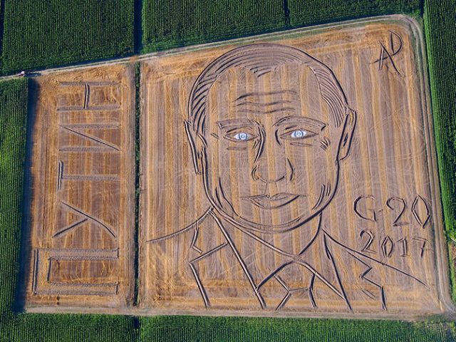 Итальянец выстриг в поле огромный портрет Путина