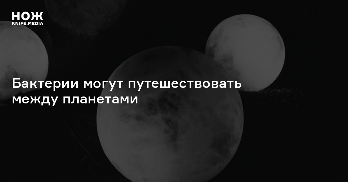 Бактерии могут путешествовать между планетами — Нож