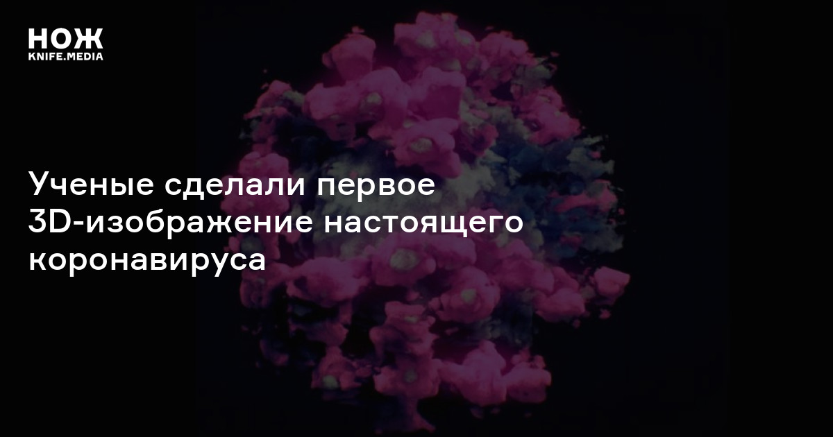 Схема морфологической классификации эпителиев. Ученые создали несколько классификаций. Ученые создали несколько классификаций. Схема морфологической классификации эпителиев. Христианство монотеистическая религия.