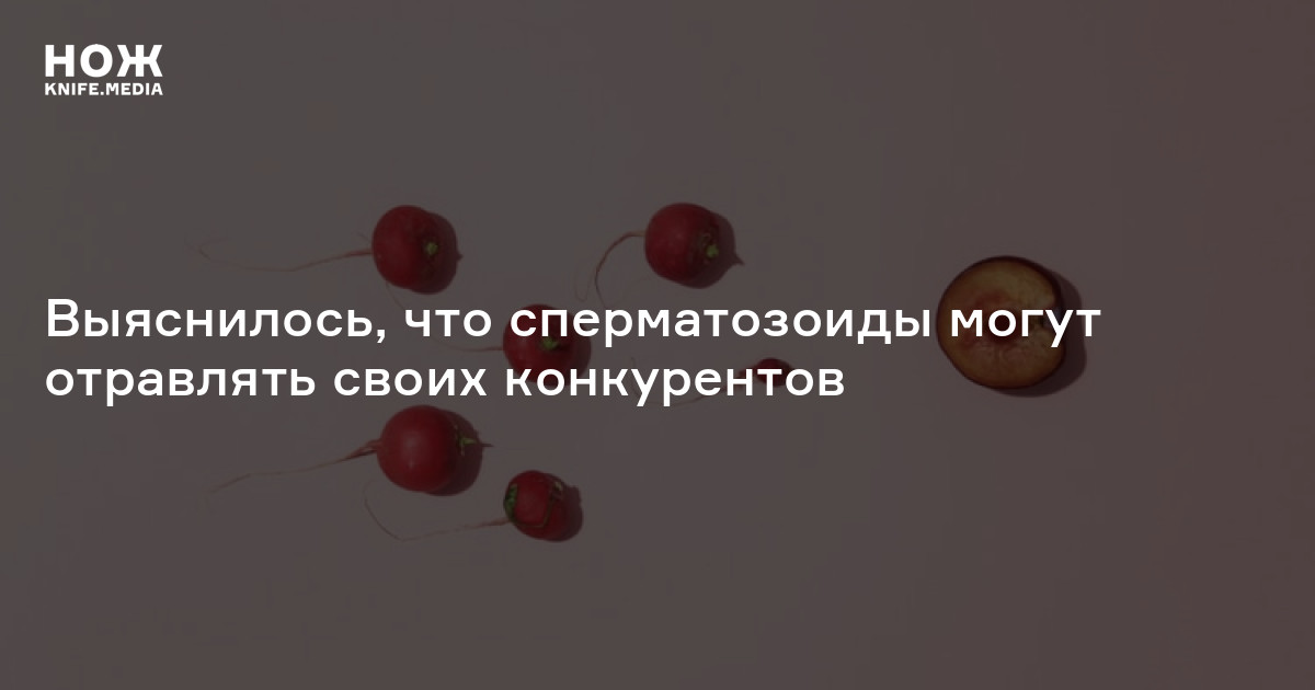Выяснилось, что сперматозоиды могут отравлять своих конкурентов — Нож
