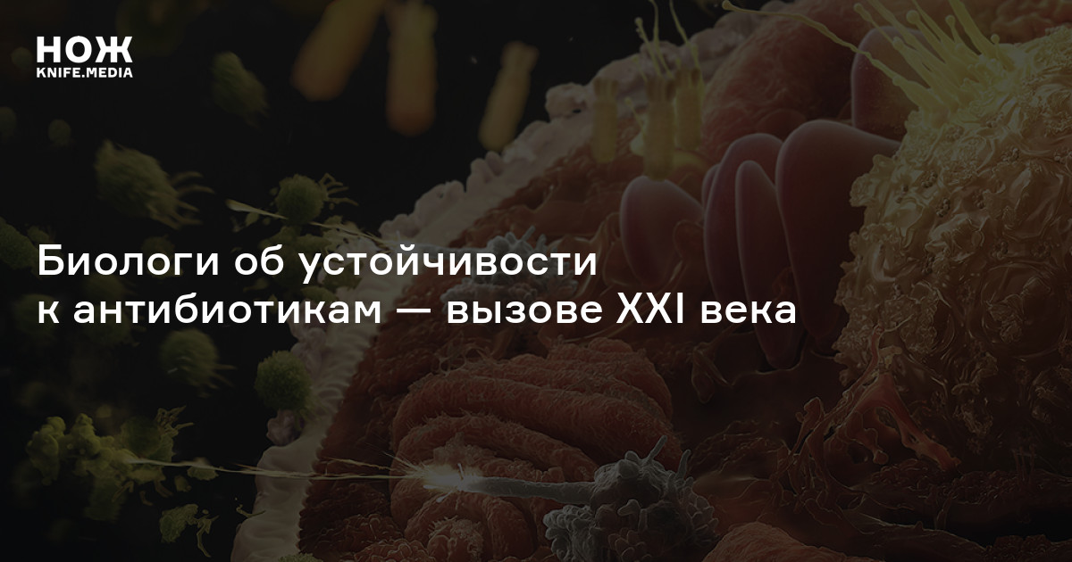 Принимать антибиотики без крайней необходимости нельзя: супербактерии ...