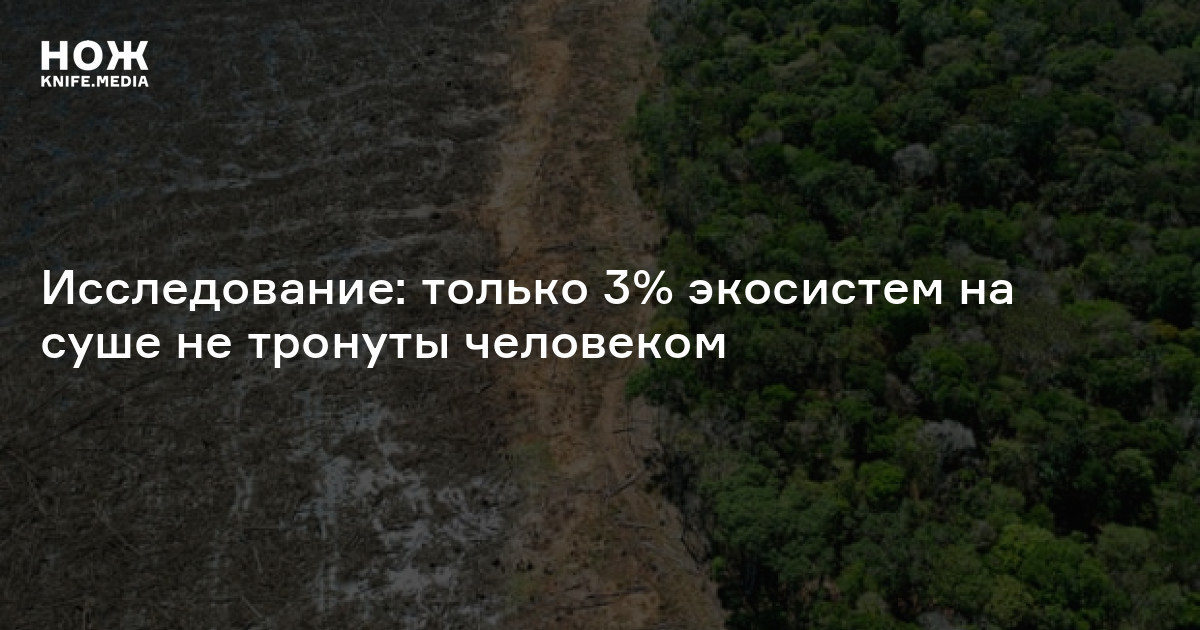 Файлы ваканды технологическое исследование мстителей и не только