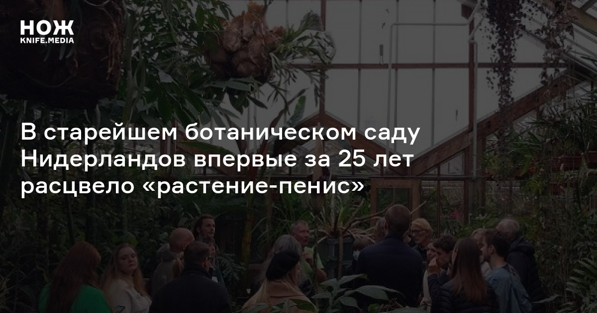 В старейшем ботаническом саду Нидерландов впервые за 25 лет расцвело ...