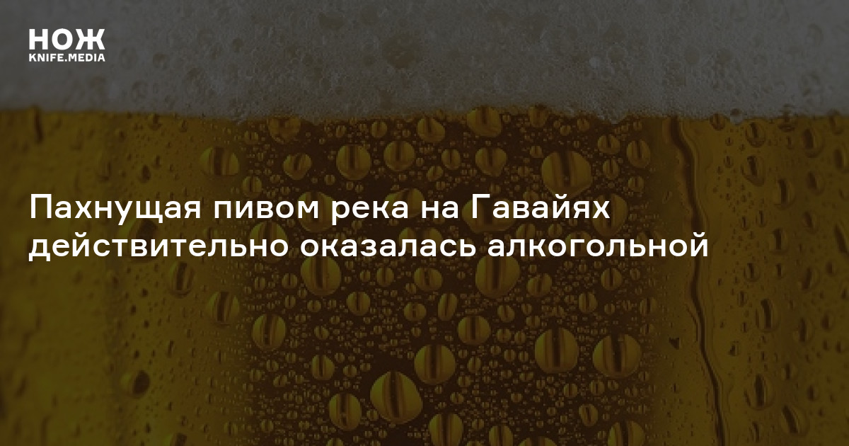 Как избавиться от запаха пива на диване