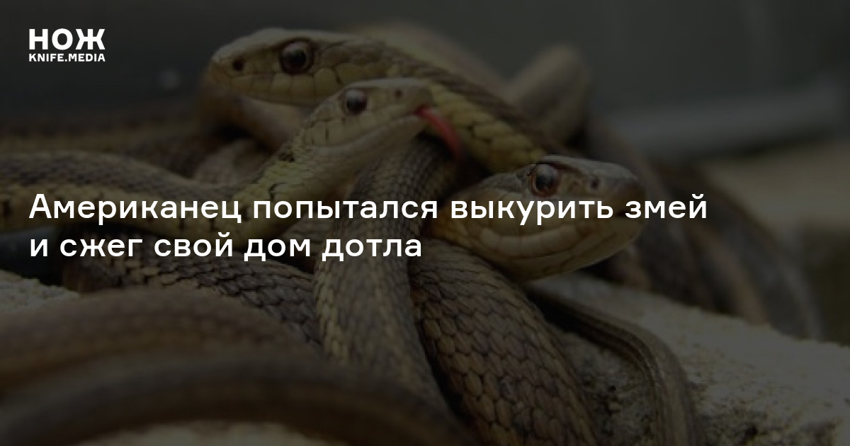 Американец попытался выкурить змей и сжег свой дом дотла — Нож