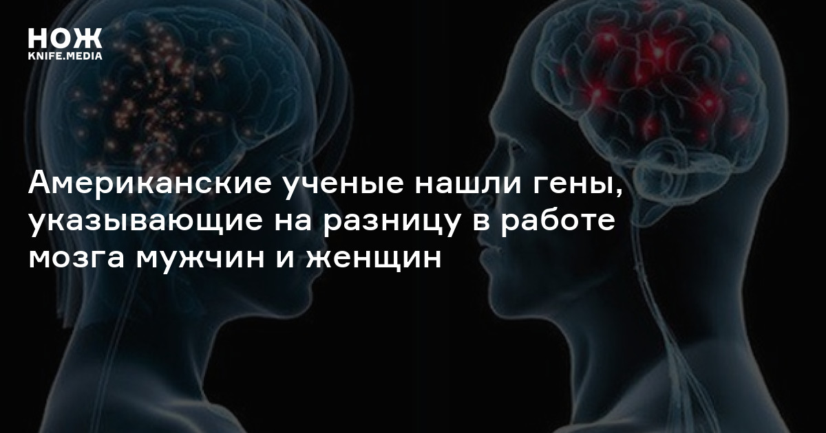 Разница в работе между векторным и скалыогм процессором