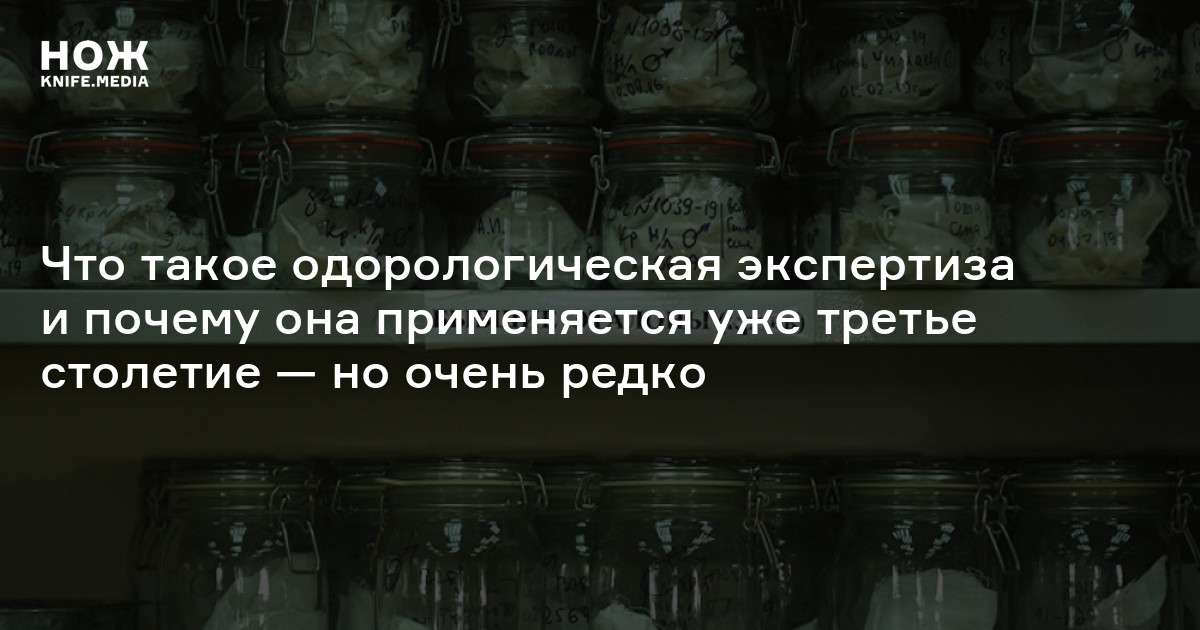 Найти преступника по запаху. Что такое одорологическая экспертиза и ...