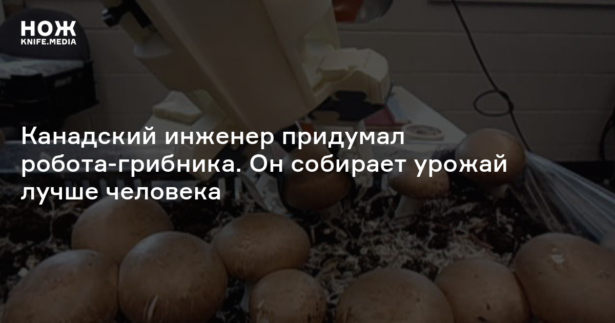 Канадский инженер придумал робота-грибника. Он собирает урожай лучше ...