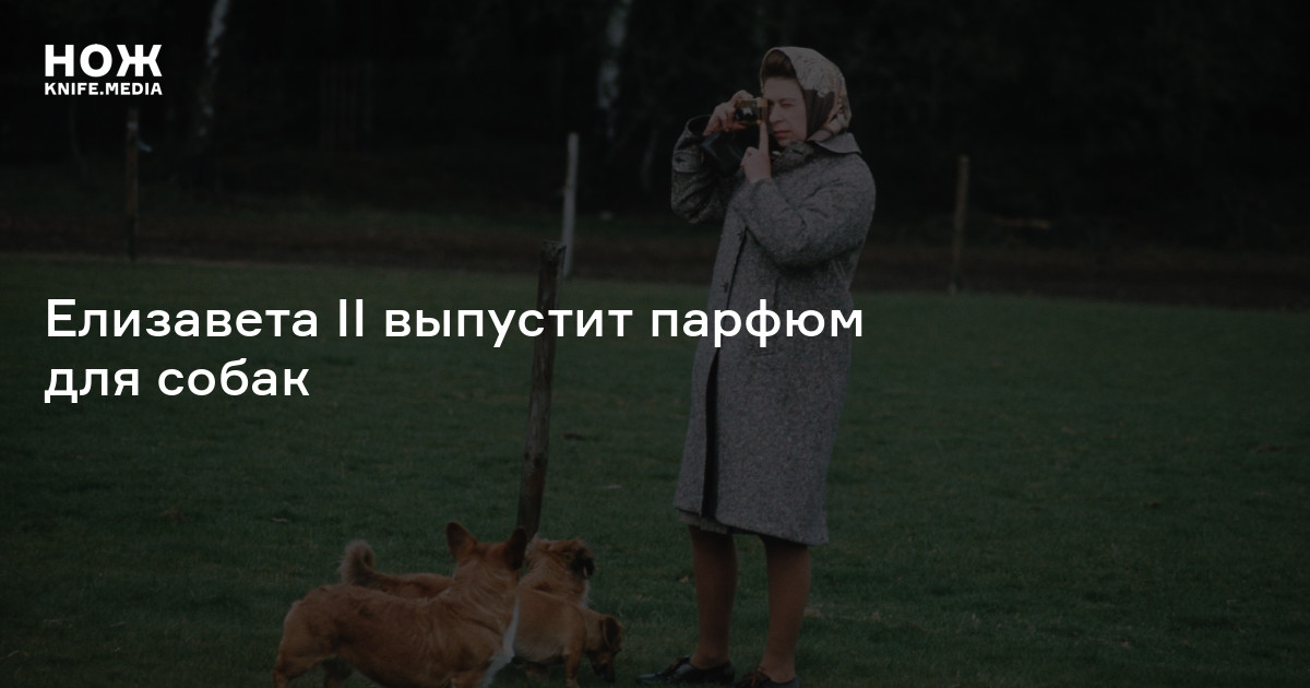 Елизавета II выпустит парфюм для собак — Нож