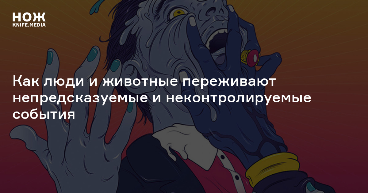 Антистресс-эсхатология для запуганного щенка. Как люди и животные ...