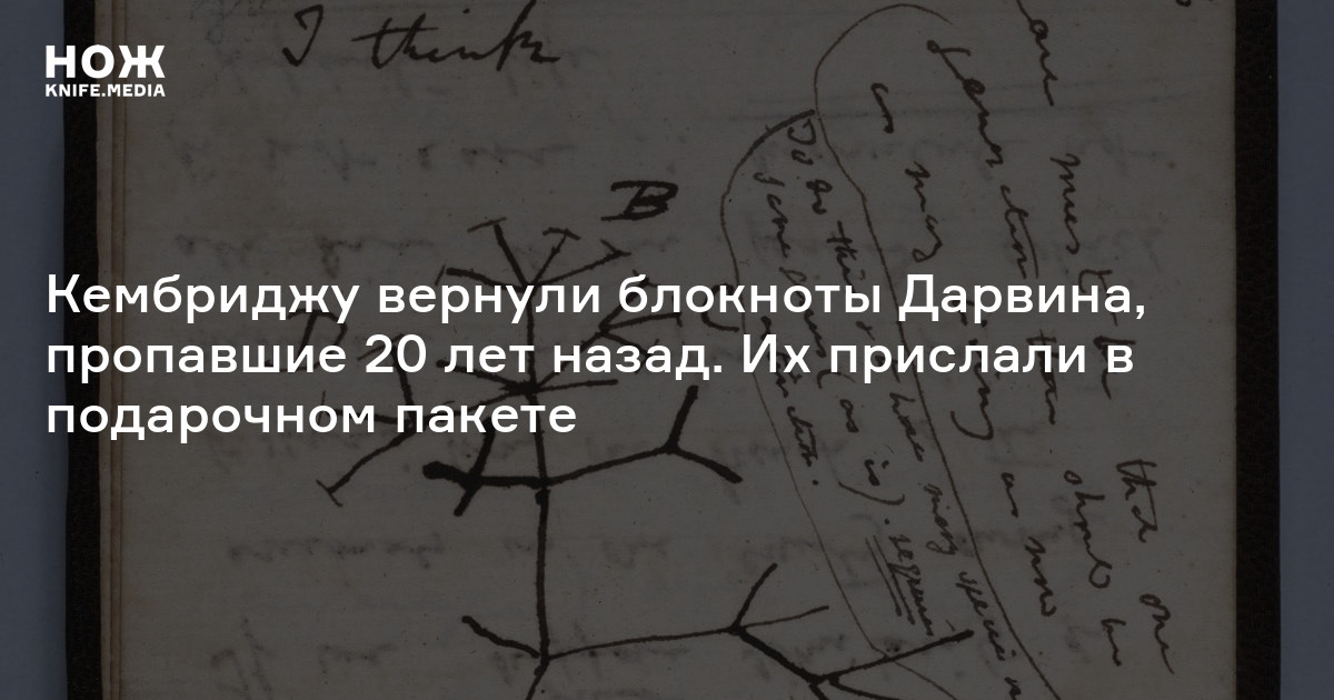 Благнод. Интересные записные книжки. Блокнот для записей. Тетрадь дизайнера. Блокнот на кольцах мокап.