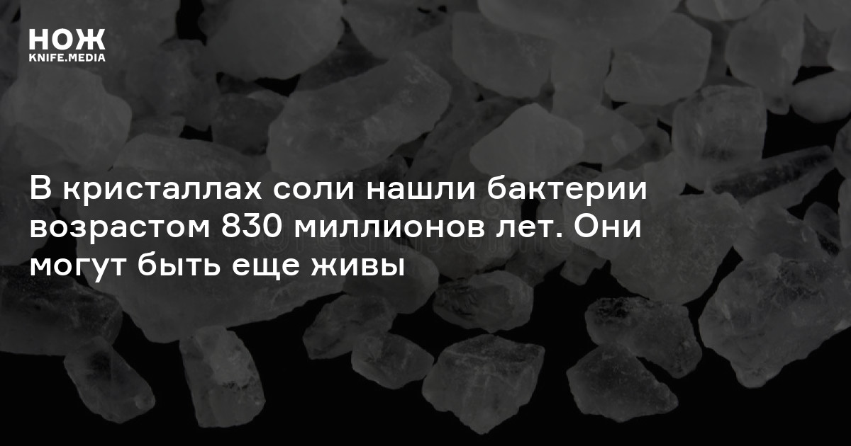 В кристаллах соли нашли бактерии возрастом 830 миллионов лет. Они могут ...