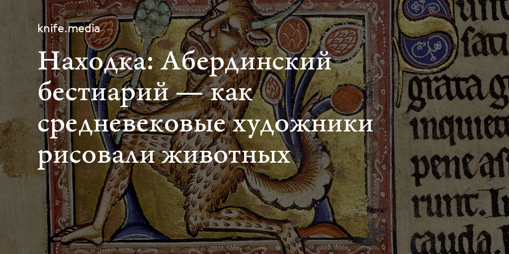 Бестиарий санкт петербурга фото Находка: Абердинский бестиарий - как средневековые художники рисовали животных -