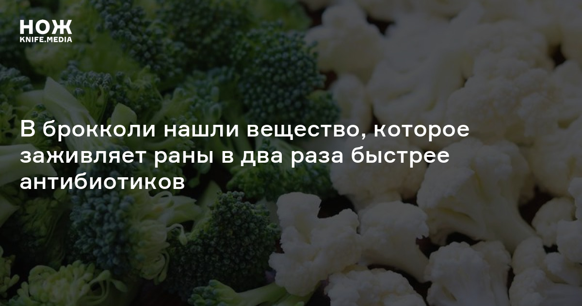 В брокколи нашли вещество, которое заживляет раны в два раза быстрее ...