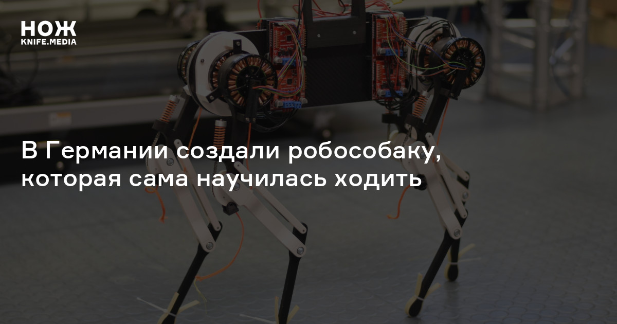 В Германии создали робособаку, которая сама научилась ходить — Нож