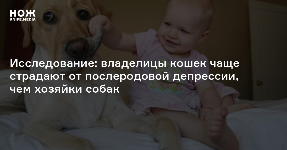 Исследование: владелицы кошек чаще страдают от послеродовой депрессии ...