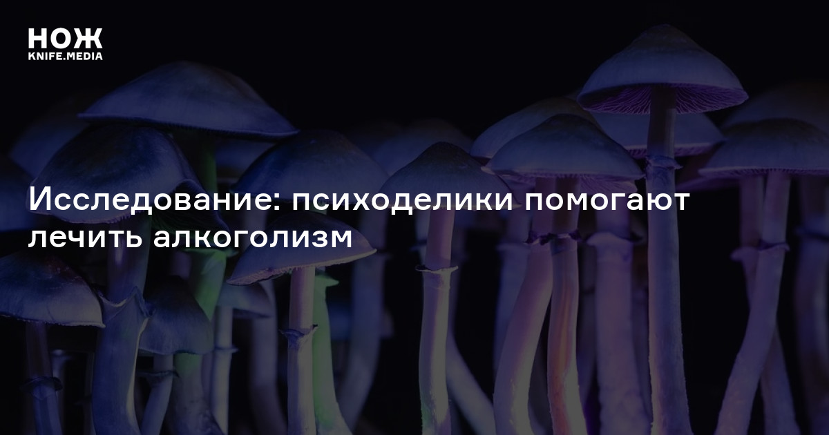 Исследование: психоделики помогают лечить алкоголизм — Нож