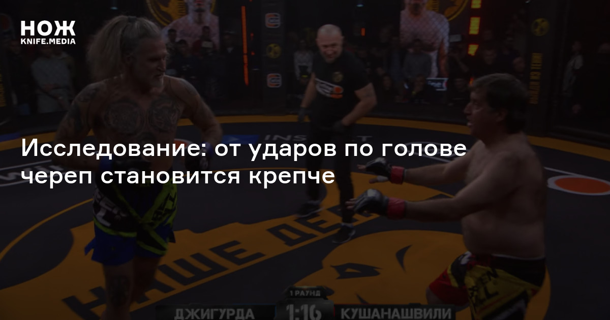 Исследование: от ударов по голове череп становится крепче — Нож