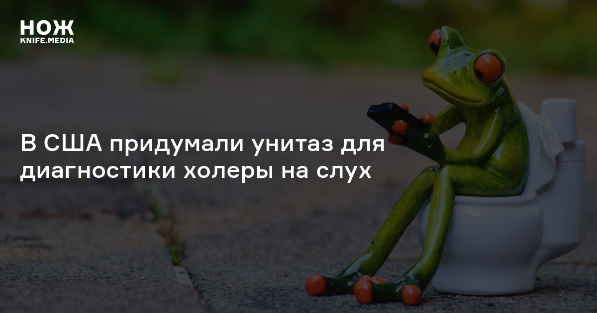 В США придумали унитаз для диагностики холеры на слух — Нож