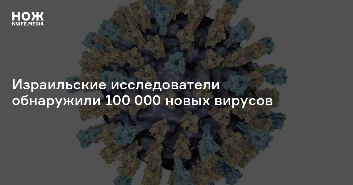 Израильские исследователи обнаружили 100 000 новых вирусов — Нож