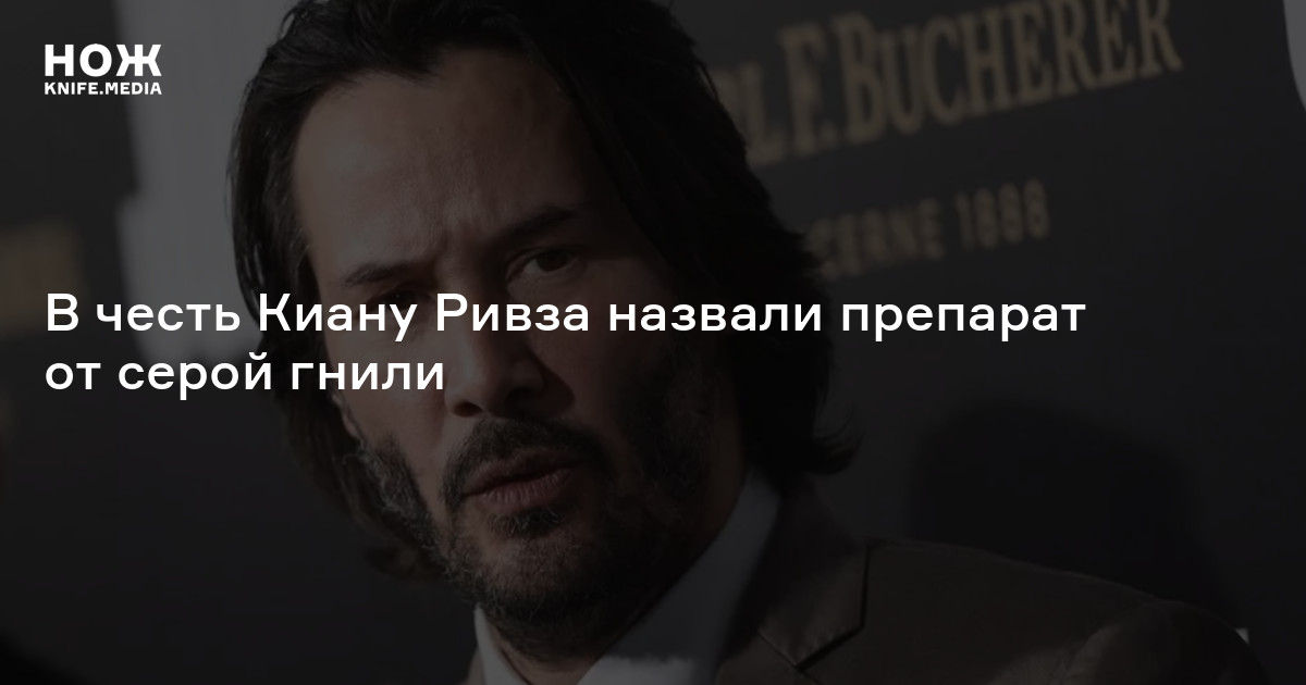 В честь Киану Ривза назвали препарат от серой гнили — Нож